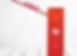 Bame BRL-40-gate-barrier.jpg